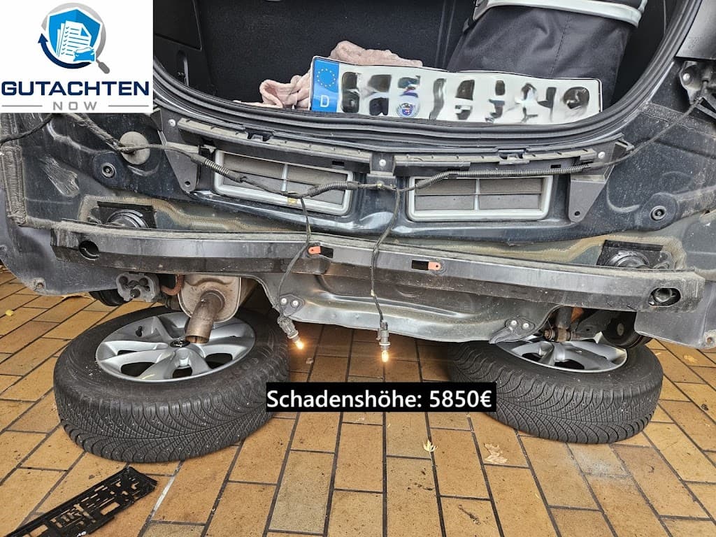 𝗞𝗙𝗭 𝗚𝘂𝘁𝗮𝗰𝗵𝘁𝗲𝗿 𝗙𝗿𝗮𝗻𝗸𝗳𝘂𝗿𝘁 - 𝗚𝗨𝗧𝗔𝗖𝗛𝗧𝗘𝗡 𝗡𝗢𝗪